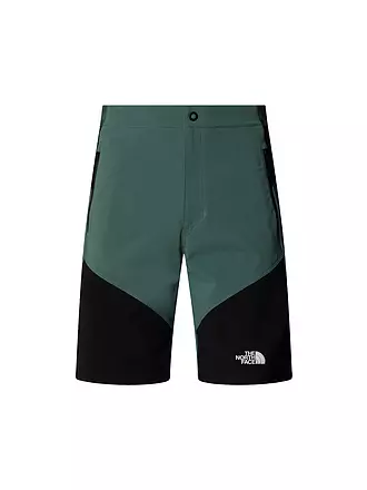 THE NORTH FACE | Pantalón corto Felik Slim Tapered para hombre |